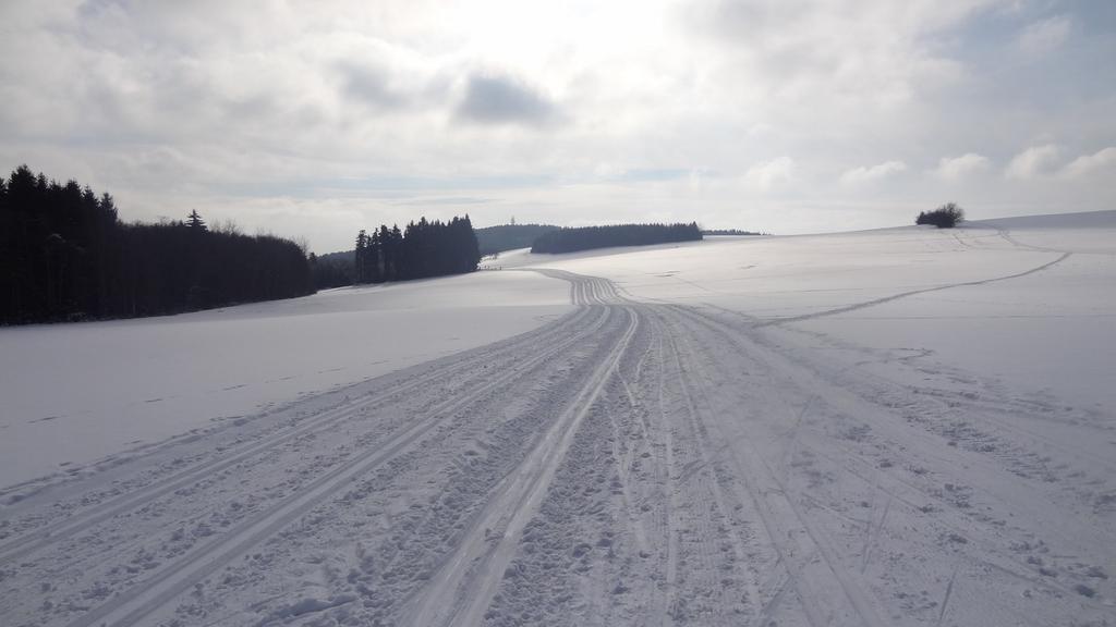 Ubytovani U Kaplicky Nove Mesto na Morave Extérieur photo