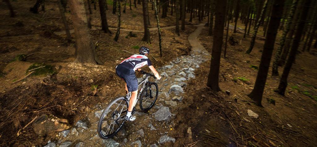 Ubytovani U Kaplicky Nove Mesto na Morave Extérieur photo